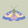 Saltmeadow Moth - Home